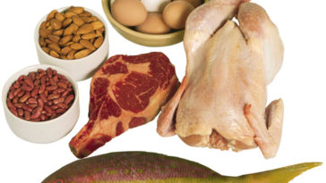 Does protein help tone your body?