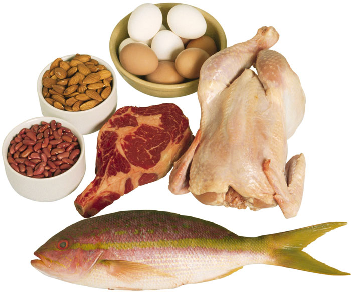Does protein help tone your body?