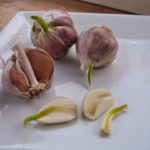 Does purple garlic mean its bad?