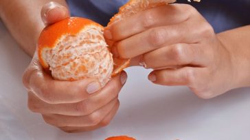 Does rolling an orange make it easier to peel?