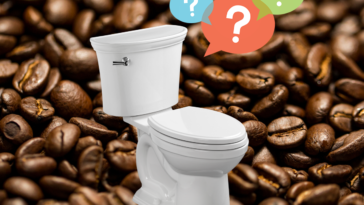 Does squash make you poop?