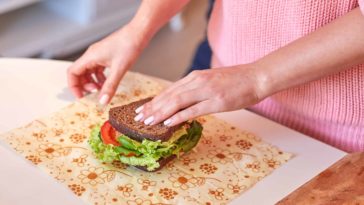 Does the food cycler really work?