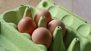Does vinegar kill salmonella in eggs?