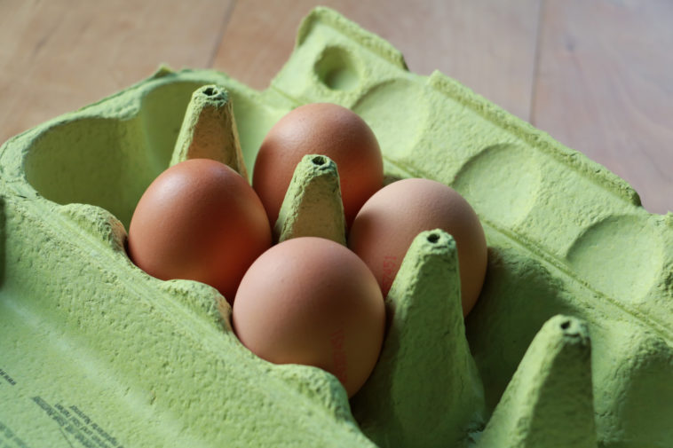 Does vinegar kill salmonella in eggs?