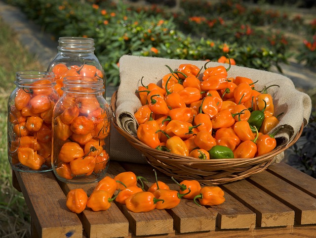 How bad is a habanero?