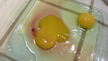 How can you tell if a cracked egg is bad?