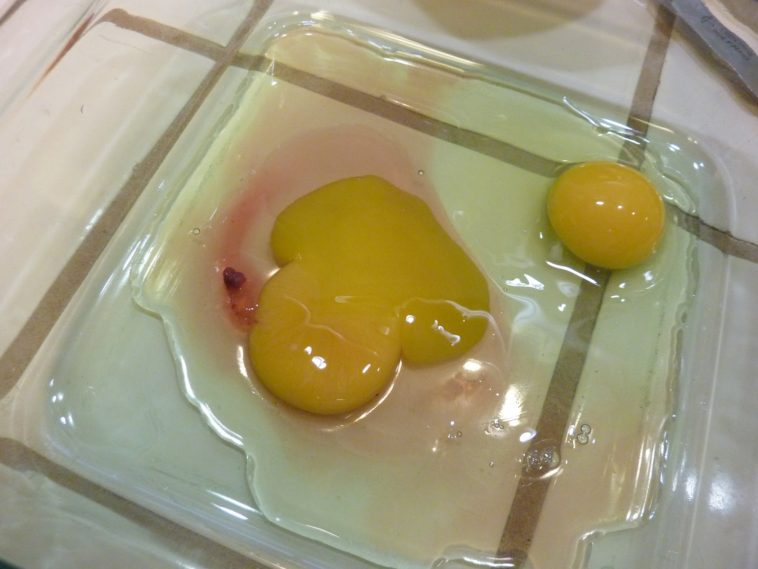 How can you tell if a cracked egg is bad?