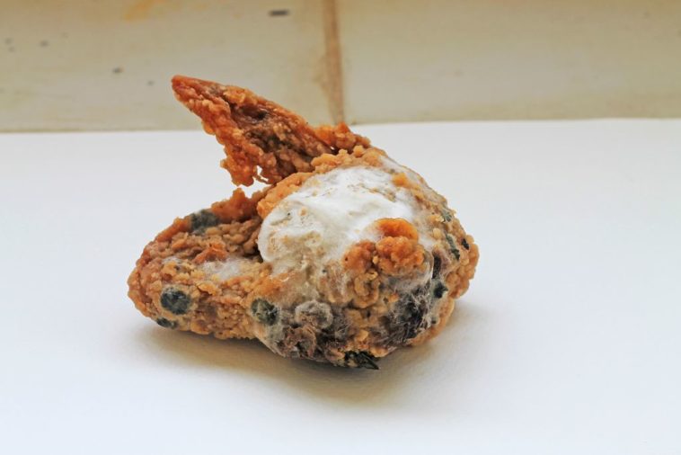 How can you tell if cooked chicken is spoiled?