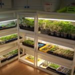 How do I build a cheap indoor garden?