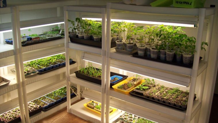 How do I build a cheap indoor garden?