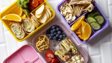 How do I choose a bento box?