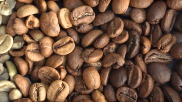 How do I choose a coffee roast?