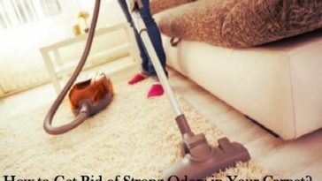 How do I get rid of the smell in my blender?