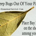 How do I keep bugs out of my kitchen?