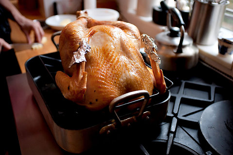 How do I keep my turkey from drying out?