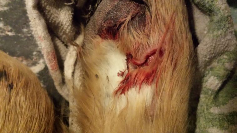 How do I know if my sheets are deep pocket?