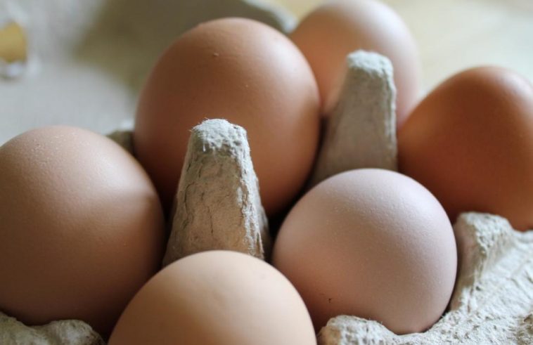 How do you bind without eggs?