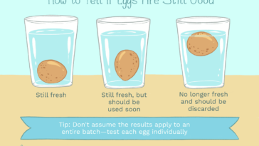 How do you check if eggs are bad?