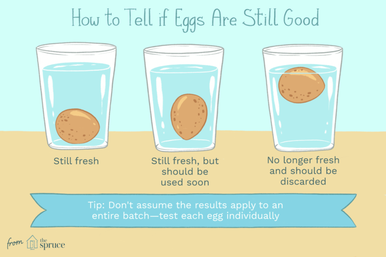 How do you check if eggs are bad?