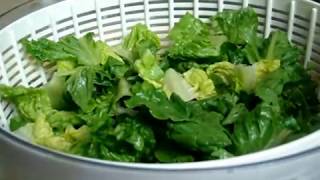 How do you clean lettuce without getting soggy?