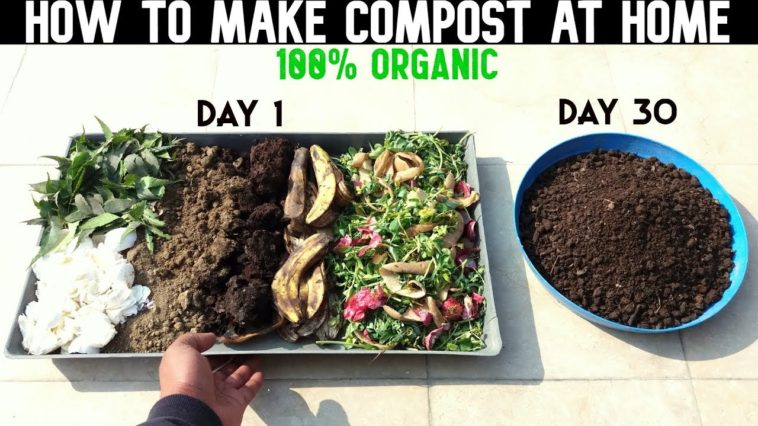 How do you compost for beginners?