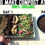 How do you compost for beginners?
