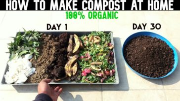 How do you compost for beginners?