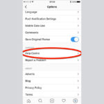 How do you delete Instagram on the app?