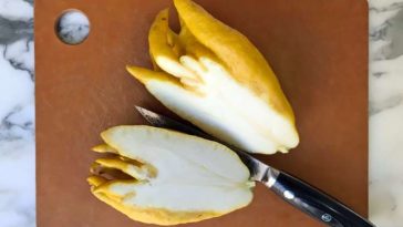 How do you eat Buddha fingers?