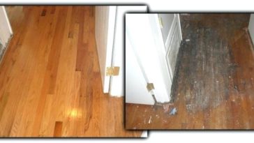 How do you fix water damage on wood?