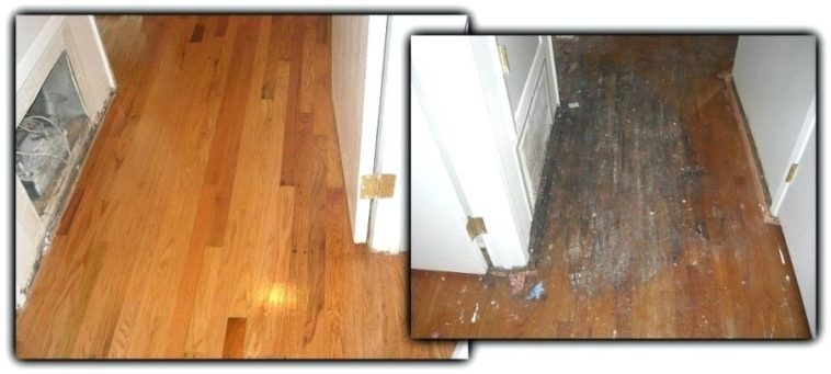 How do you fix water damage on wood?