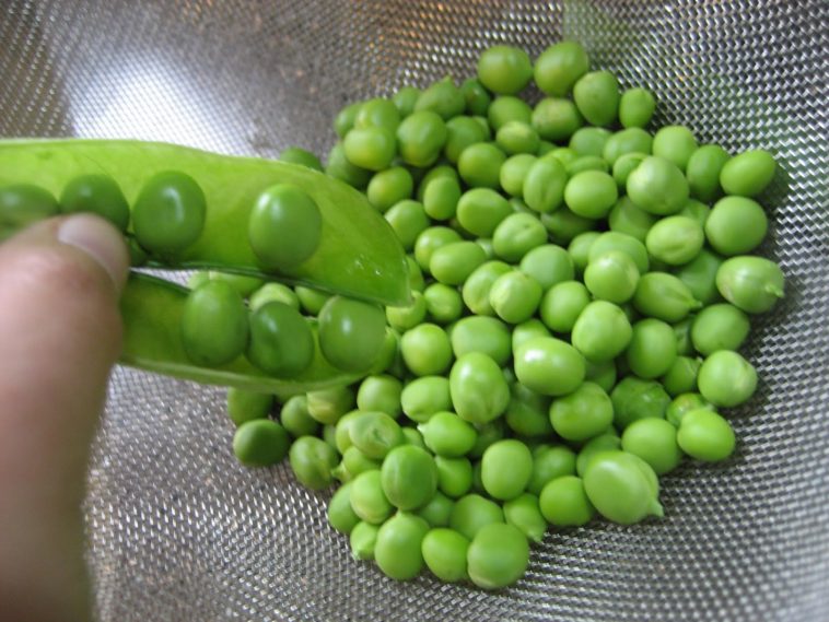How do you freeze fresh lady peas?