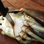 How do you humanely kill a crab?