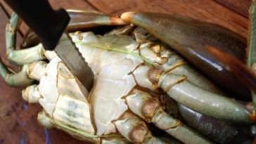 How do you humanely kill a crab?