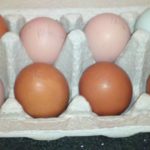 How do you keep track of fresh eggs?