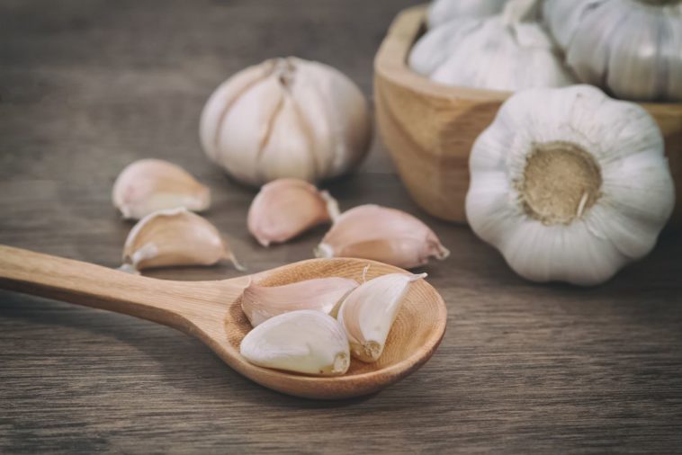 How do you know garlic is bad?