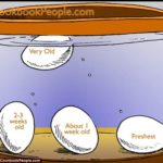 How do you know if an onion has gone off?