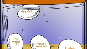 How do you know if an onion has gone off?