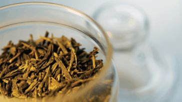 How do you know when arugula has gone bad?