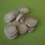 How do you know when ginger beer goes bad?