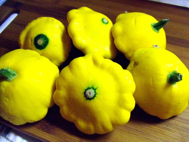 How do you know when to pick a patty pan squash?
