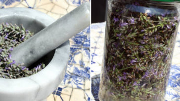 How do you make lavender extract quickly?