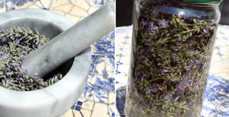 How do you make lavender extract quickly?