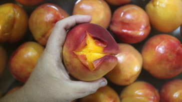 How do you peel a peach without boiling it?