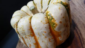 How do you pick sweet dumpling squash?