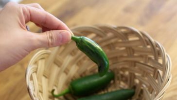 How do you prepare jalapenos for freezing?