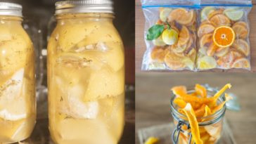 How do you preserve fresh lemons?