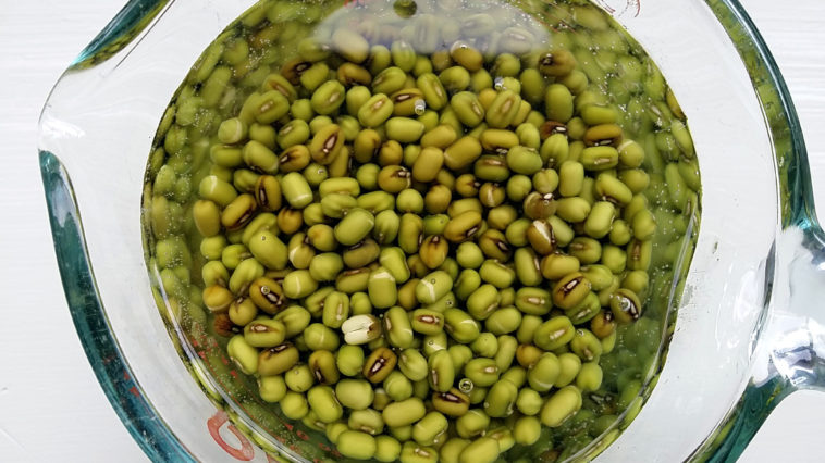 How do you say mung bean in French?