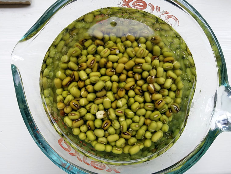 How do you say mung bean in French?