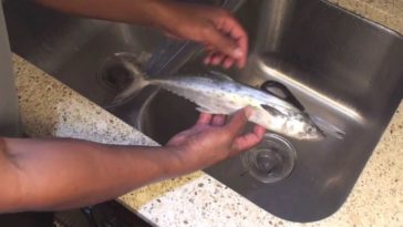 How do you scale without scales?